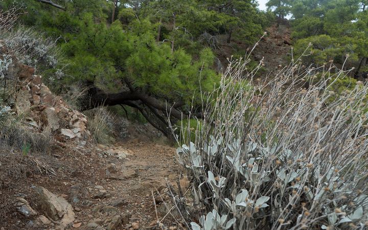Wandelen over de Lycische weg: de mooiste etappes en tips vanuit Marmaris