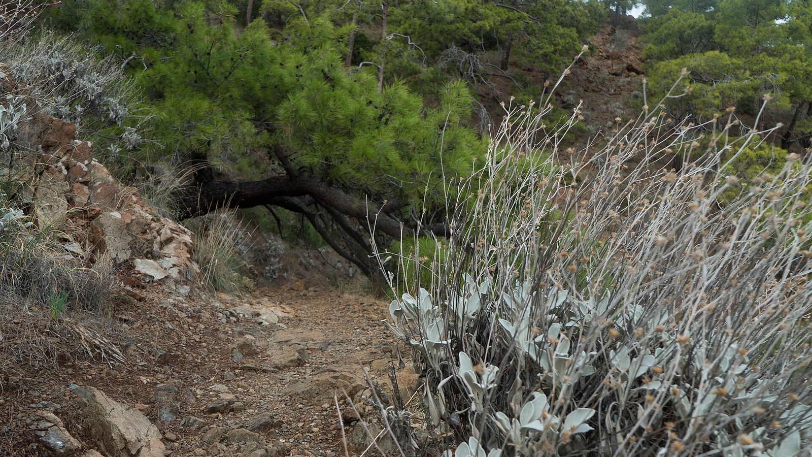 Wandelen over de Lycische weg: de mooiste etappes en tips vanuit Marmaris